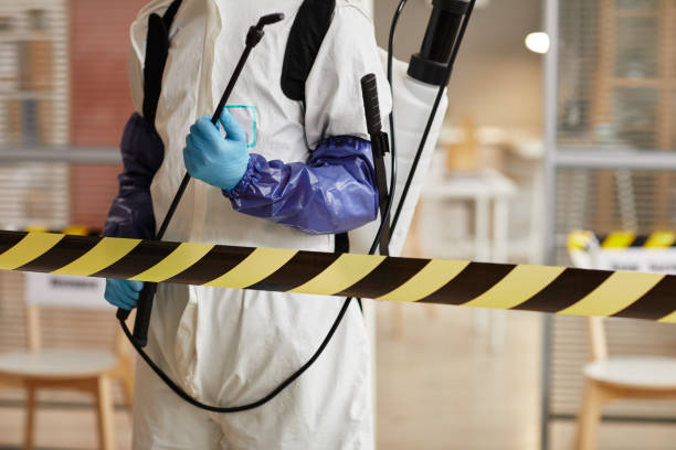 Professional Sewage Cleanup technician working in Plymouth, WI